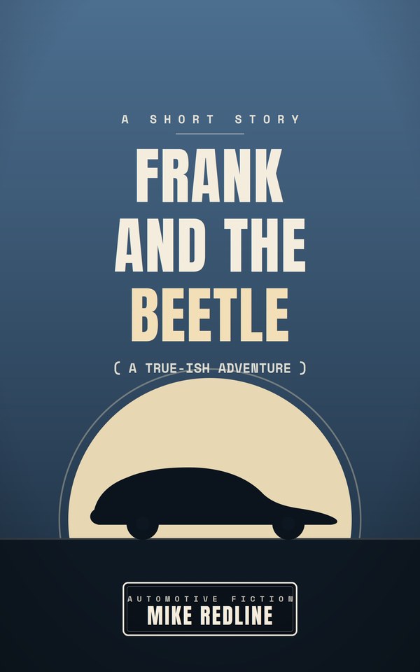 Frank and the Beetle — custom hardcover book cover